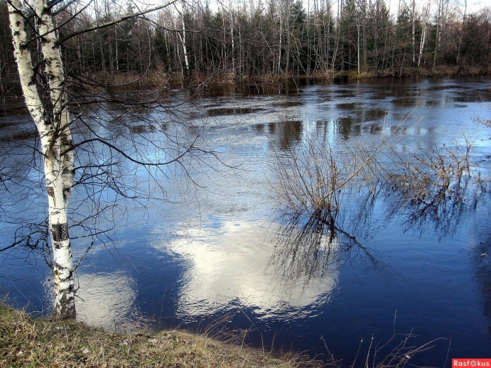 Река весной