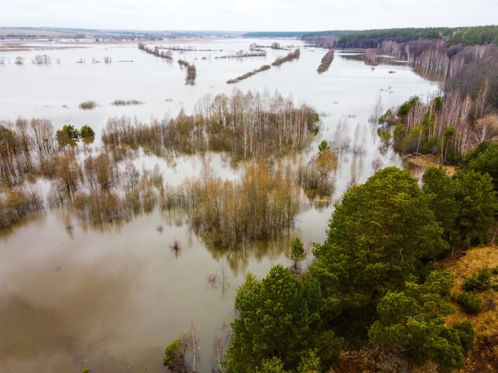Река десна трубчевск