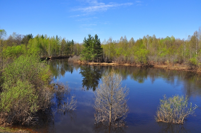 Река кокшага марий эл
