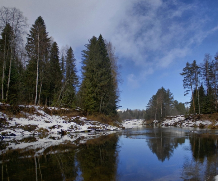 Река оскуя новгородская область