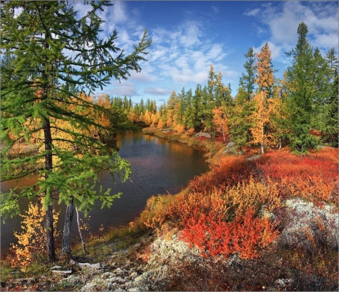 Природа тундра новый уренгой