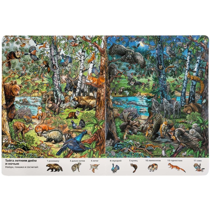 Виммельбух. жизнь животных