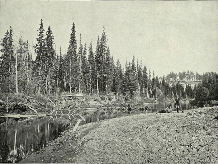 Сибирь тайга 19 век