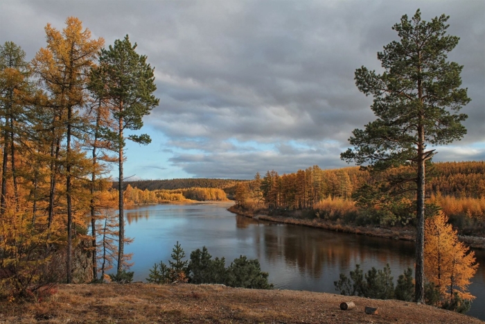 Якутия нерюнгри природа