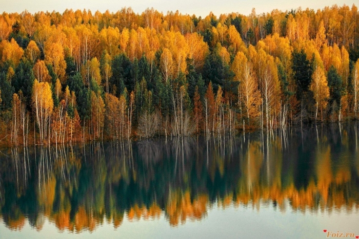 Осень в тайге