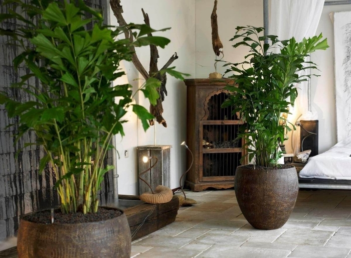 Напольные цветы в интерьере