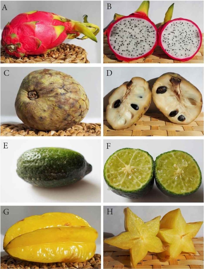 Экзотические фрукты с названием