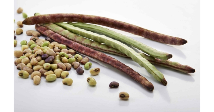 Фасоль стручковая (коровий горох)