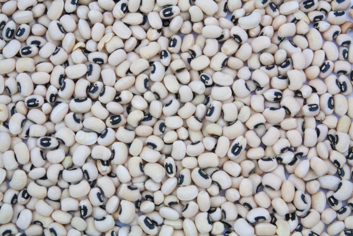 Фасоль сорт черный глаз узбекистан