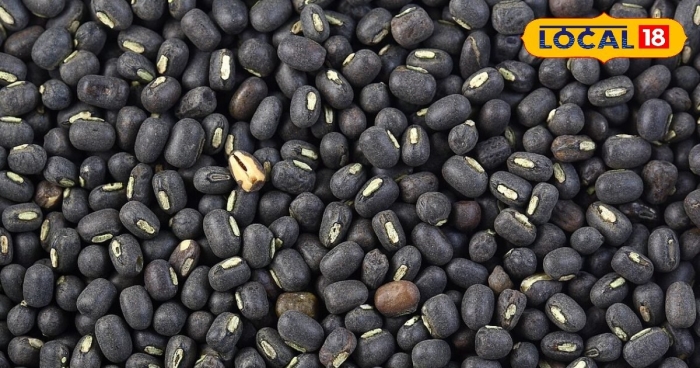 Black matpe bean