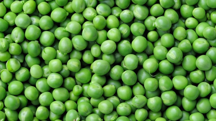 Горох зеленый