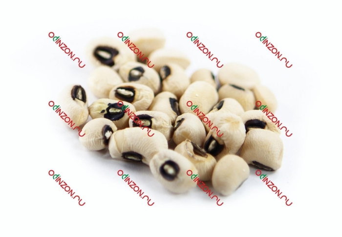 Фасоль белый