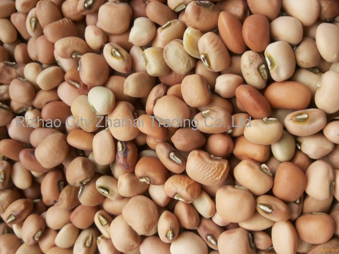 Фасоль сухая