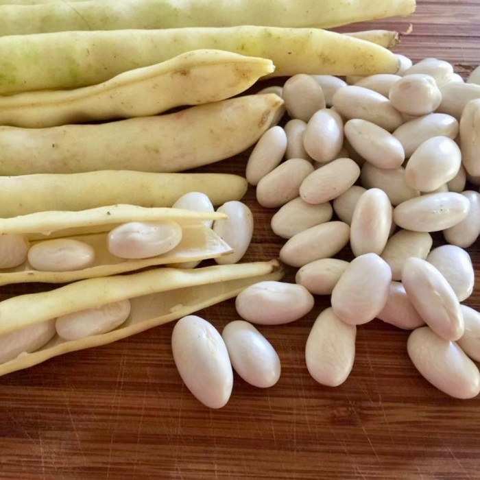 Фасоль обыкновенная в стручках