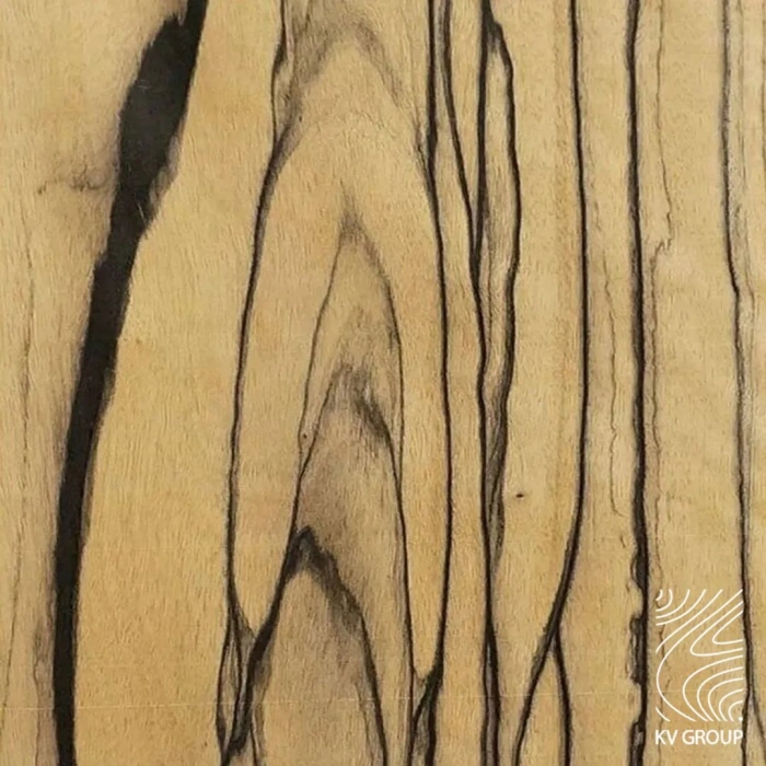 Дерево эбен шпон