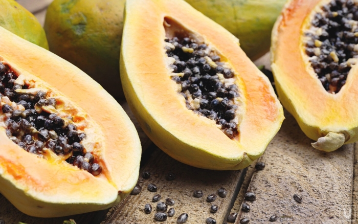 Папайя севастополь