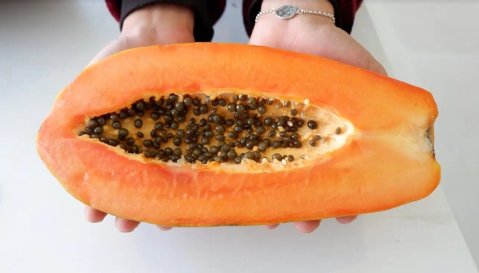 Папайя южной америки