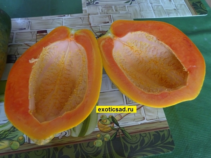 Папайя сорта