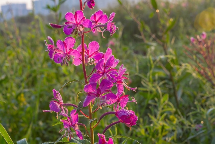 Природа южного урала