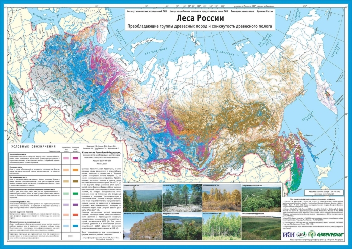 Типы лесов в россии карта