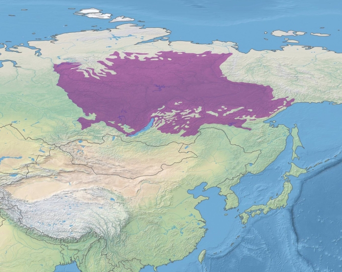 Taimyr–central siberian tundra