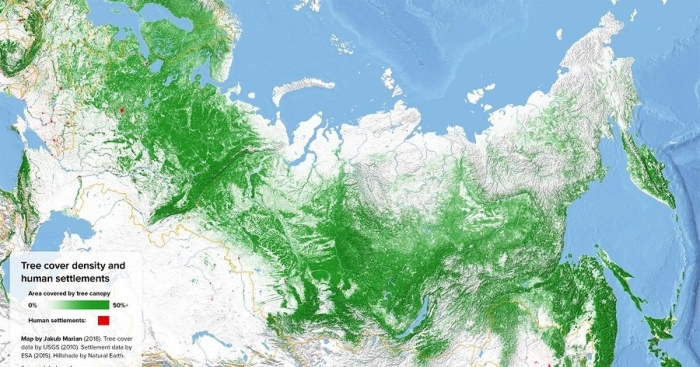 Карта плотности лесов россии