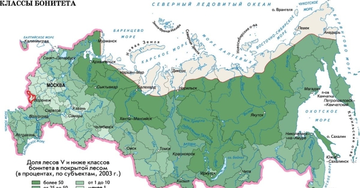 Лесные ресурсы россии карта 2022
