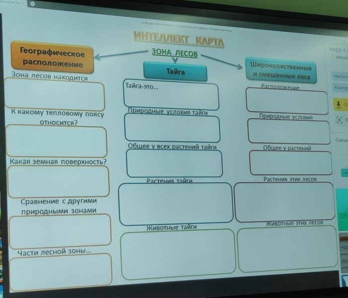 Интеллект карта тайга