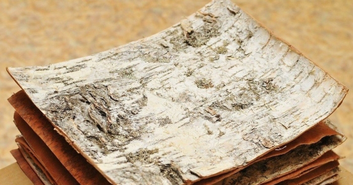 Листы бересты