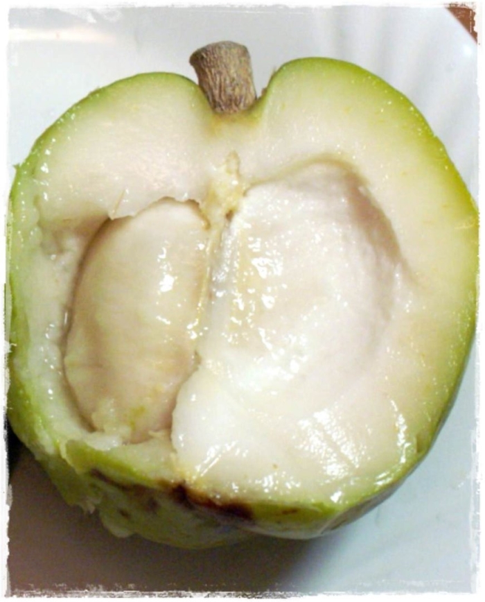 Сапота фрукт