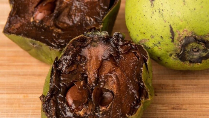 Черная сапота