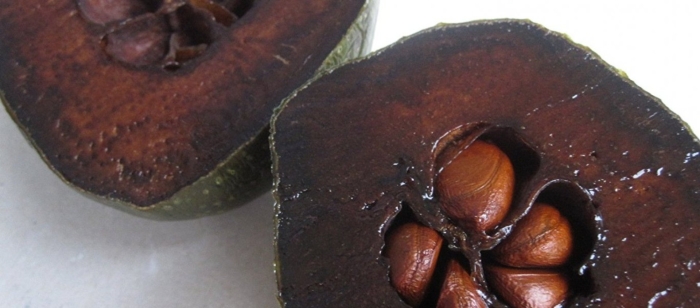 Фрукт черная сапота