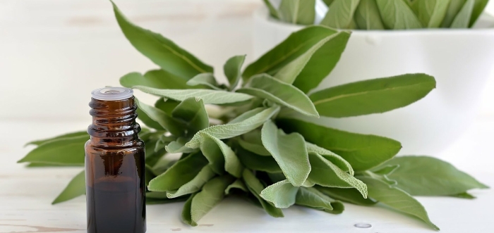 Эфирное масло шалфей