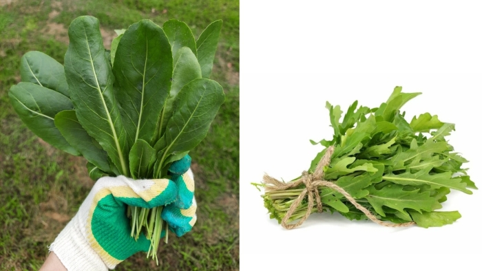 Руккола люкс