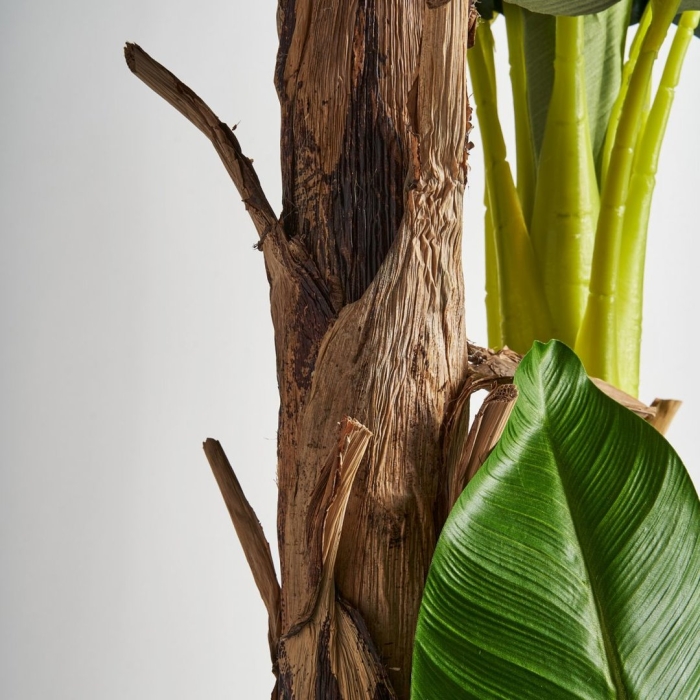 Растение искусствен