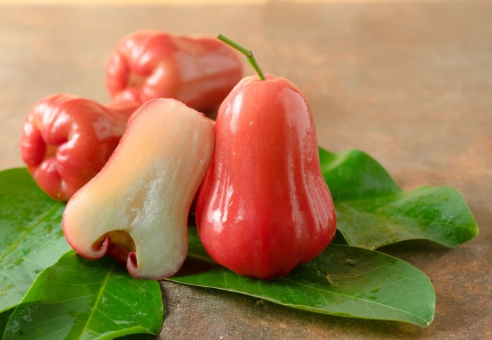 Розовое яблоко