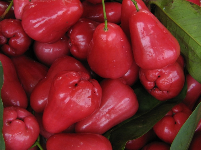 Jambu air фрукт