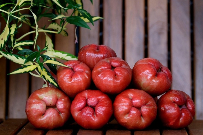 Розовое яблоко фрукт