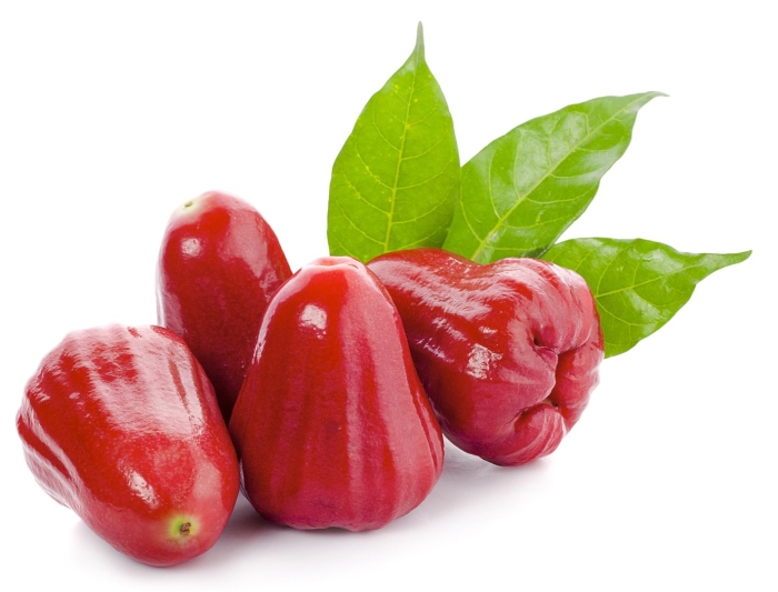 Syzygium malaccense white mountain apple