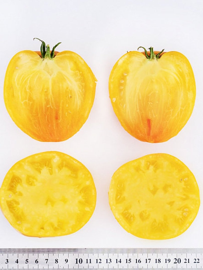 Томат бычье сердце желтое