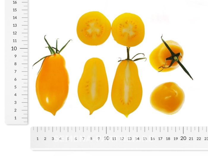 Томат желтая нежность