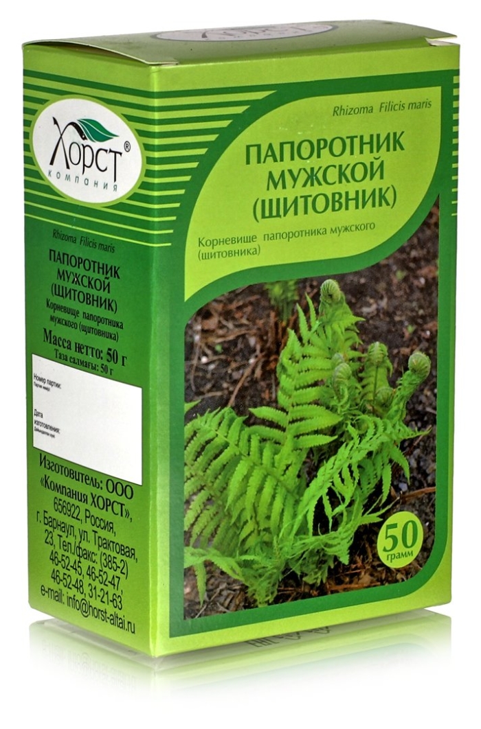 Папоротник щитовник мужской корень