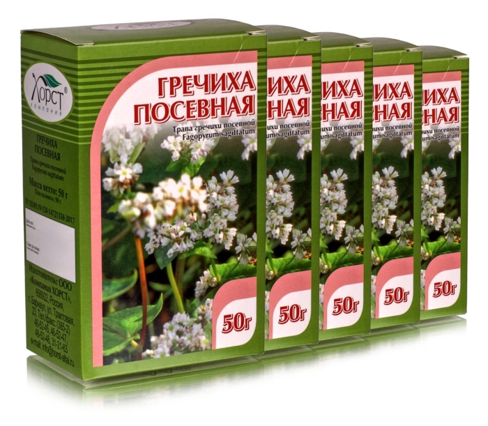 Трава гречиха