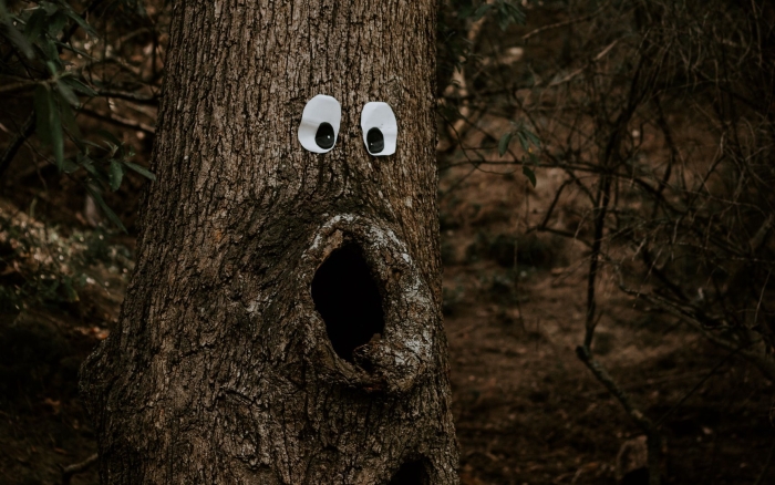 Деревья с глазами