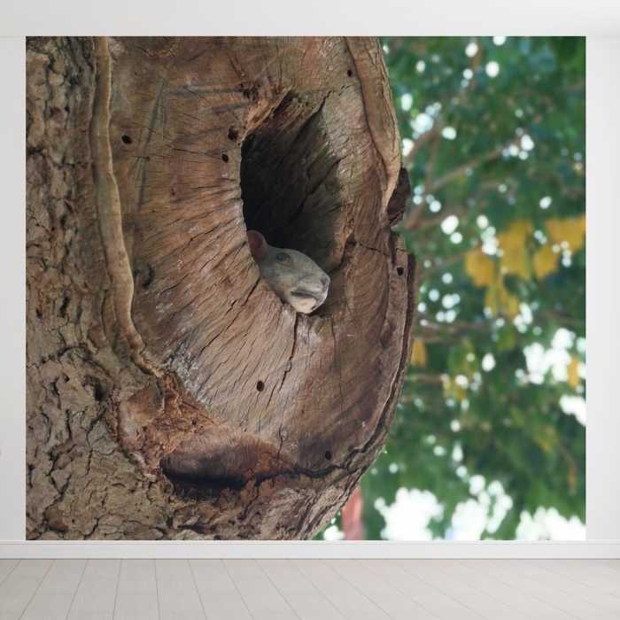 Дупло белки внутри