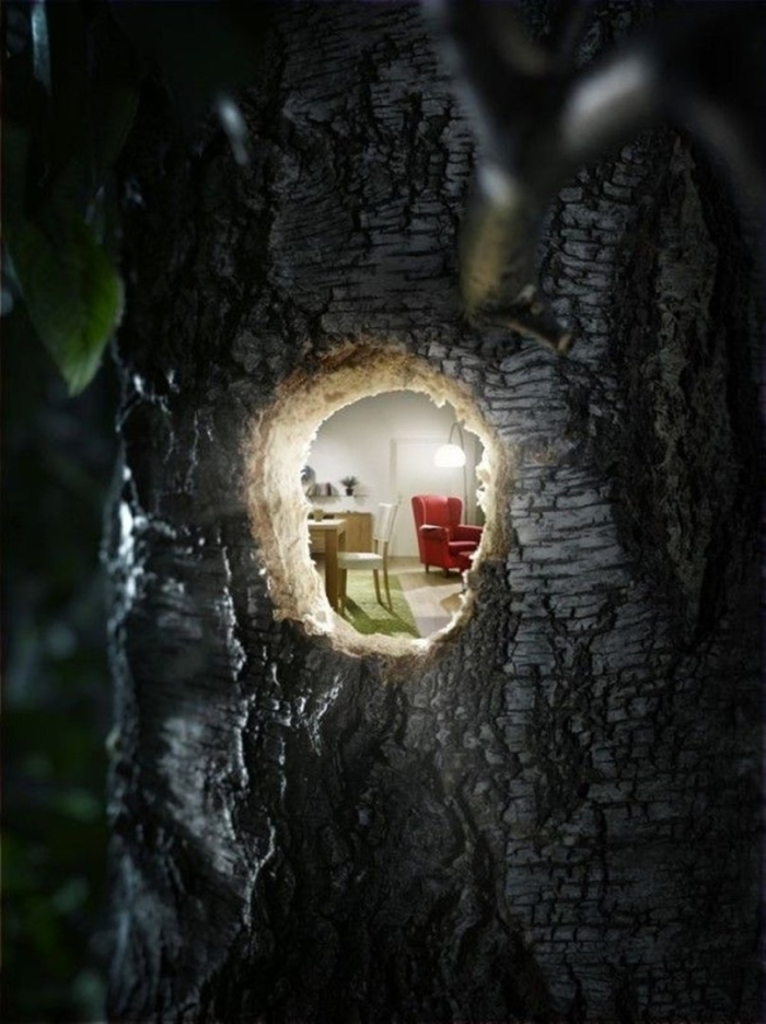 Дупло дерева