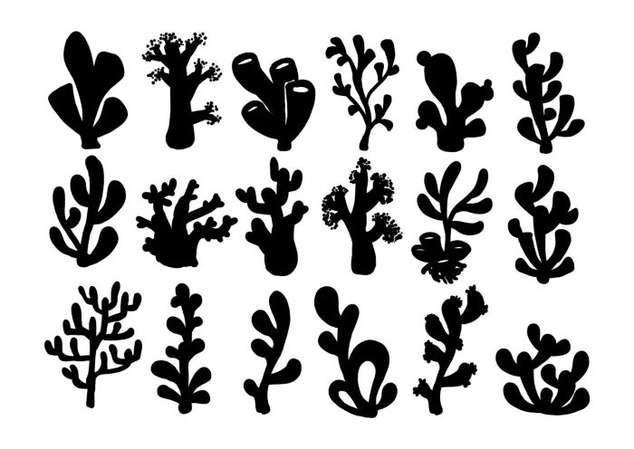 Водоросли силуэт