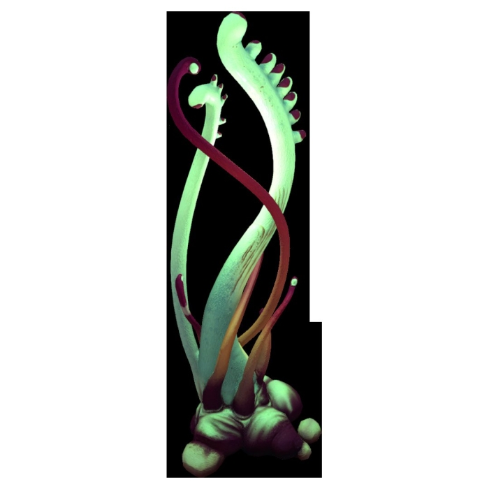 Субнаутика призрачная водоросль