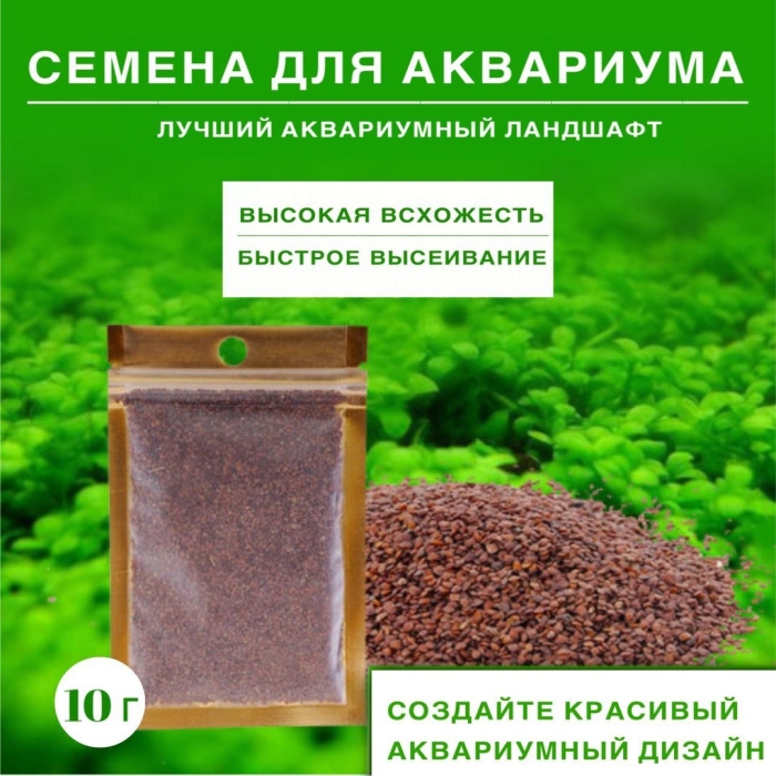 Глоссостигма семена