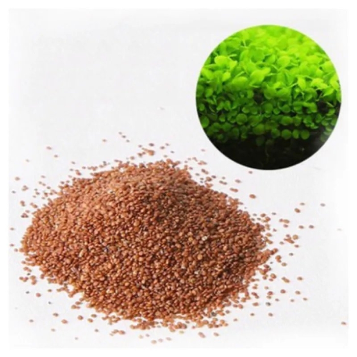 Семена glossostigma hemianthus